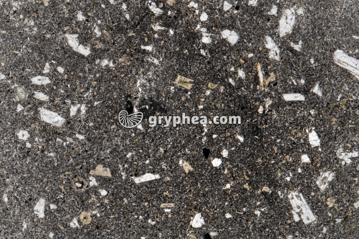 Basalte à olivine LPNA x3 - gryphea.org